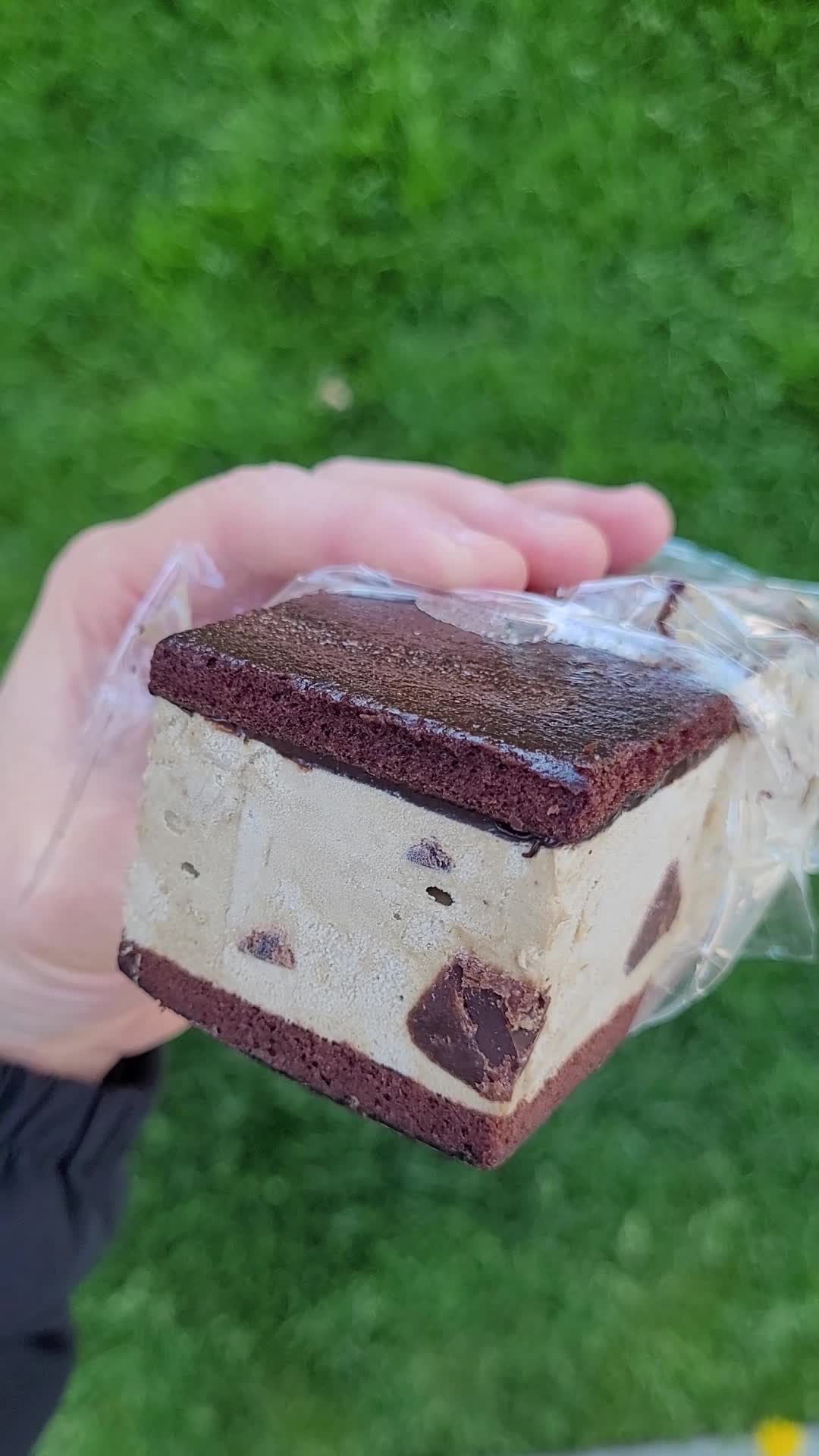 Video review of Earnest Ice Cream