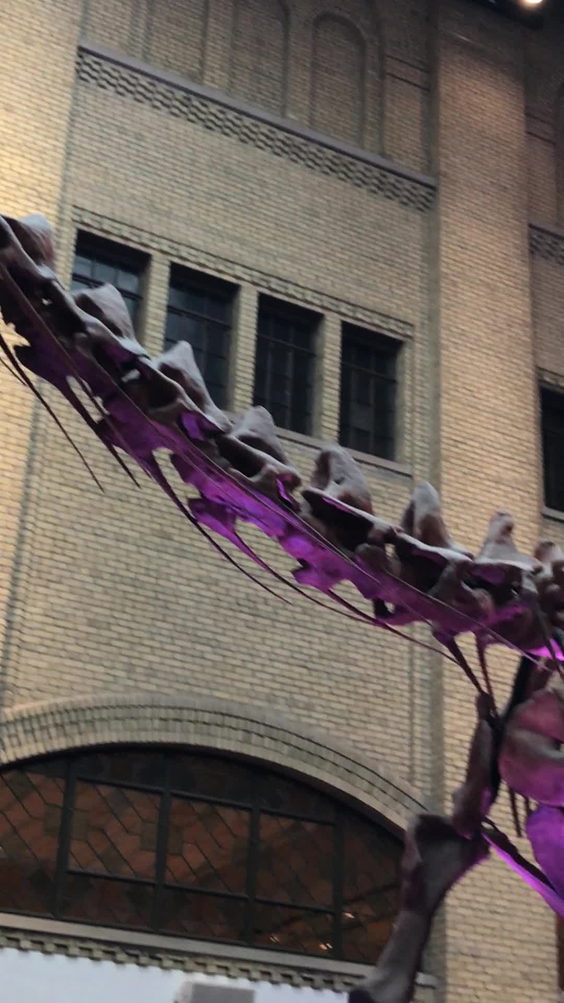 Royal Ontario Museum