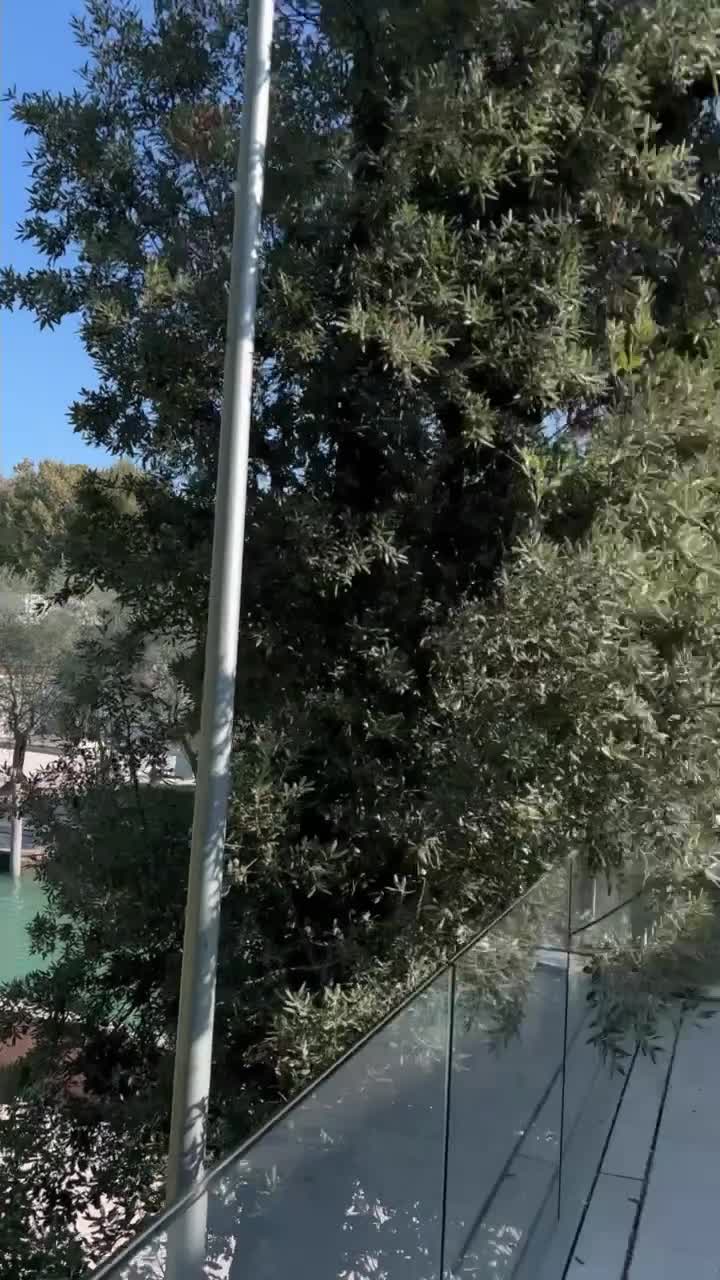 Biennale di Venezia - Padiglione del Messico