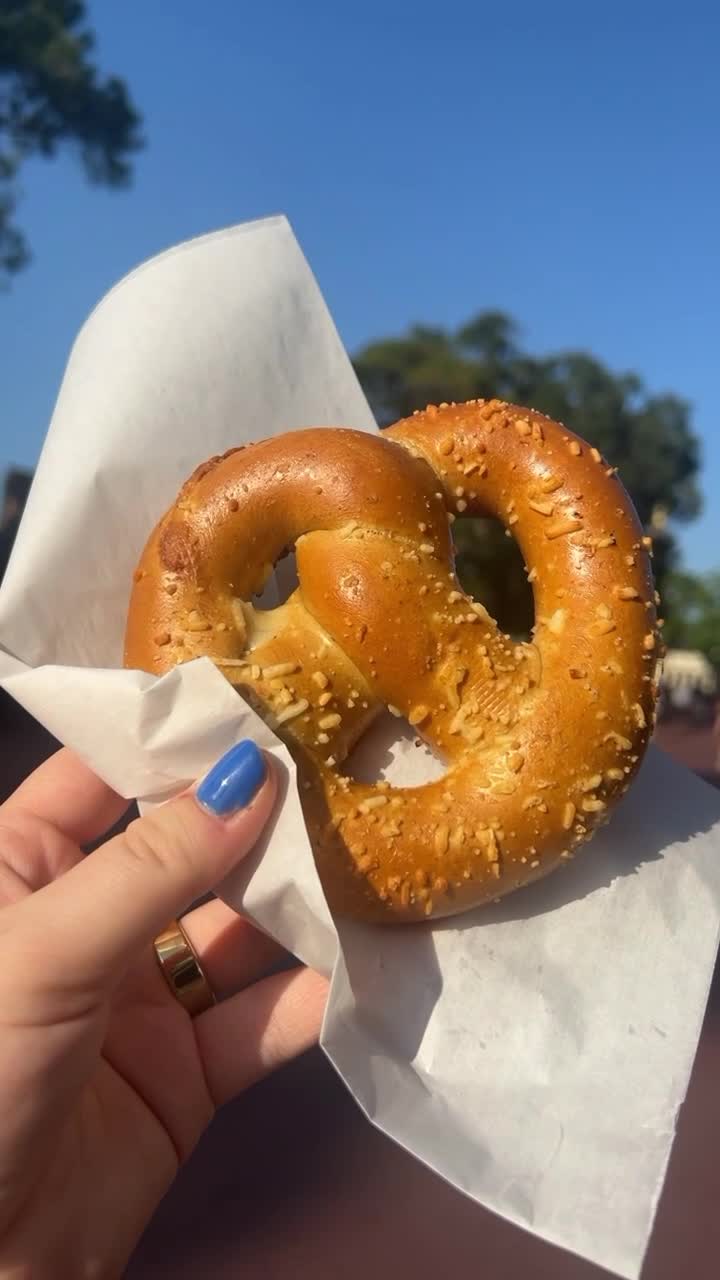 Video review of Magic Kingdom Park