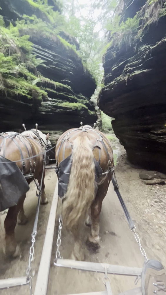 Lost Canyon Tours