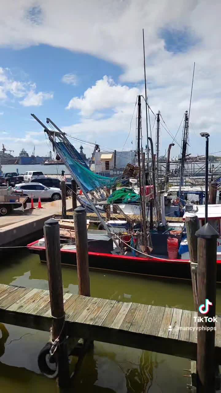 Katie's Seafood House