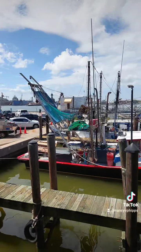 Katie's Seafood House