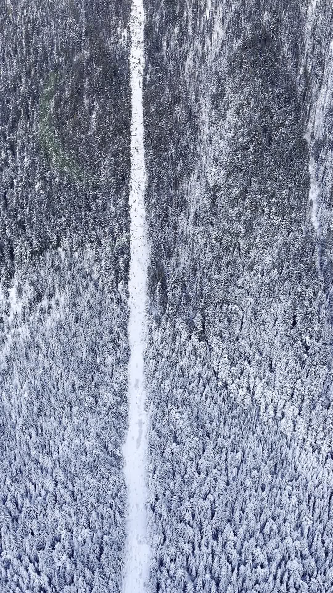 Whistler Village Centre by Whiski Jack