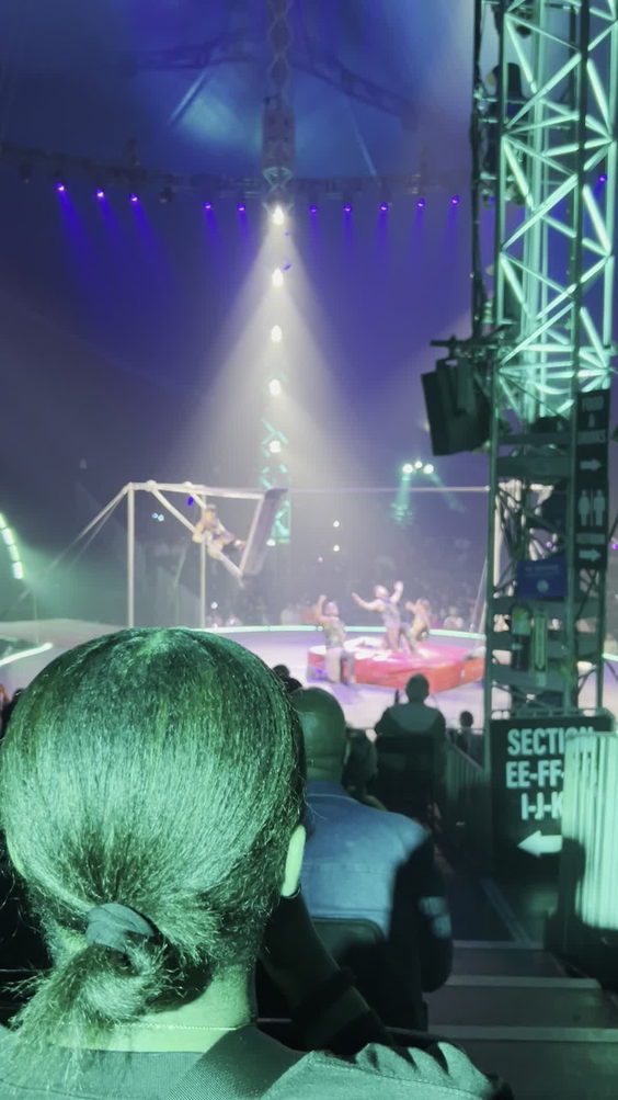 Universal circus