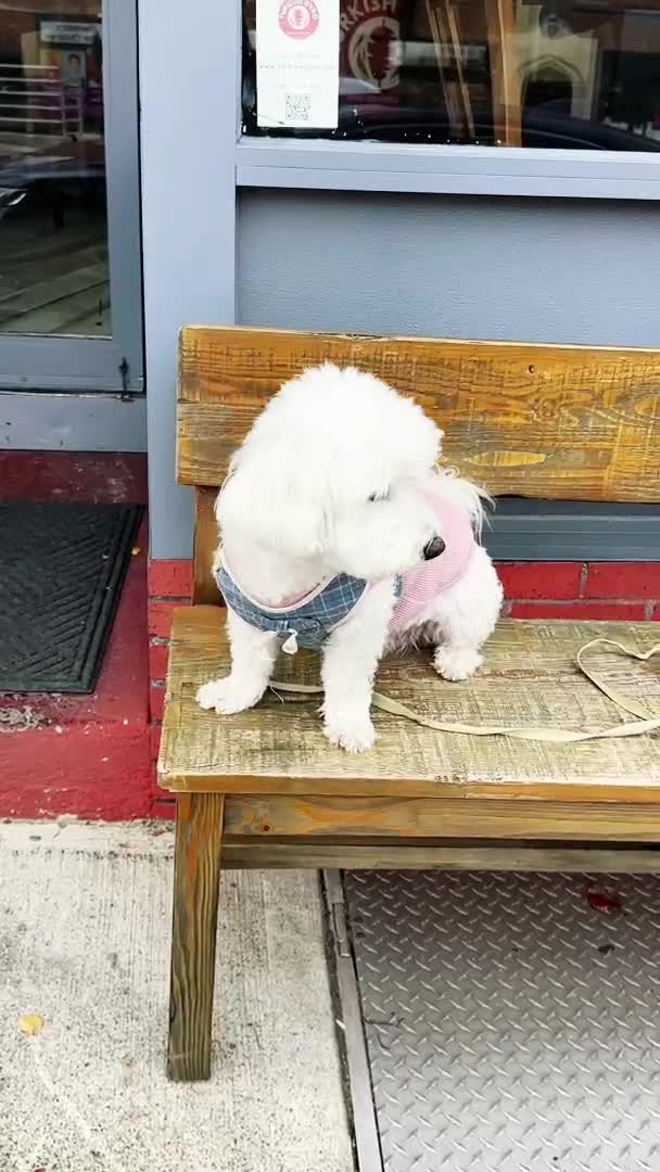 Durum Doner Turkish Gyro & Kebab