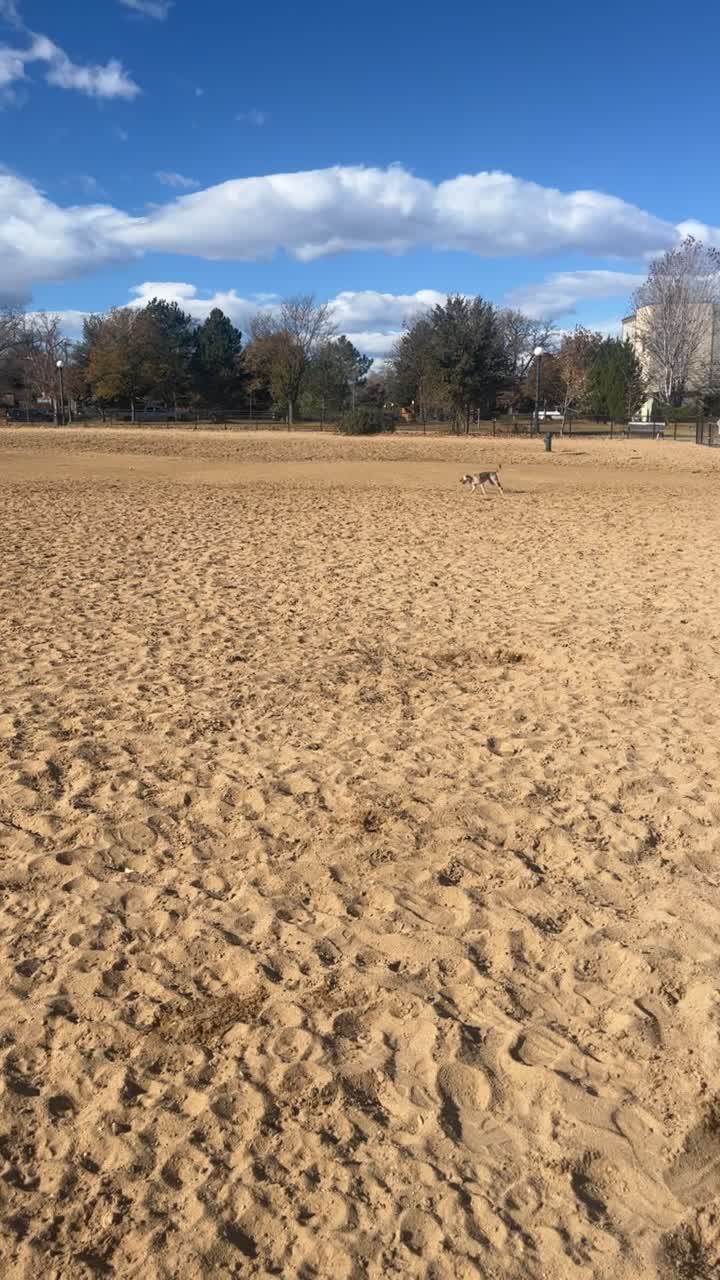 Greenway Off Leash Dog Park