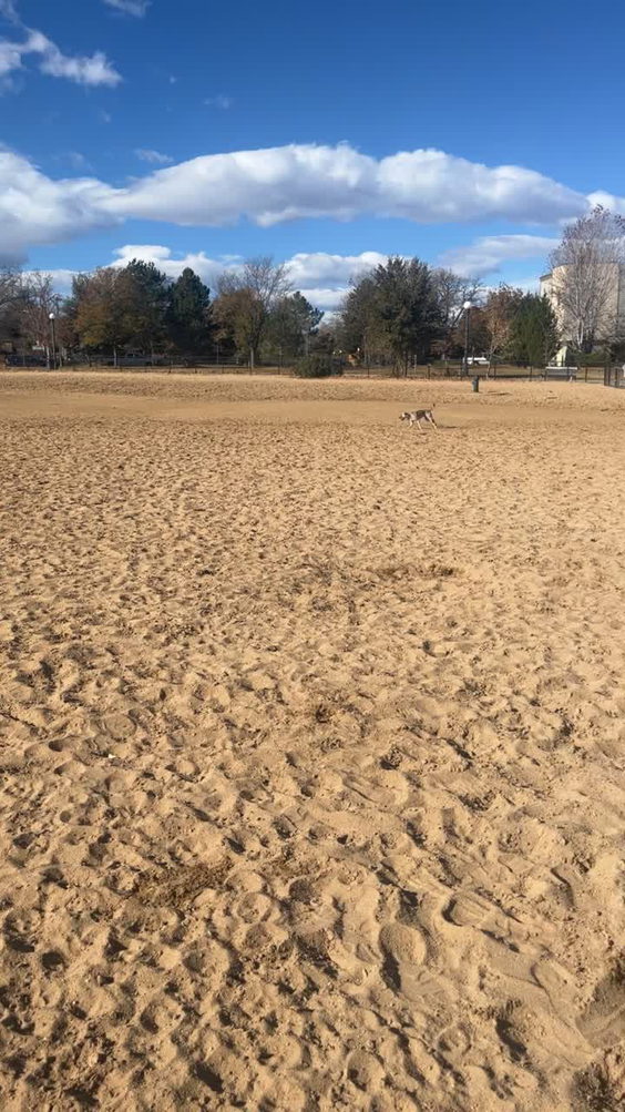 Greenway Off Leash Dog Park