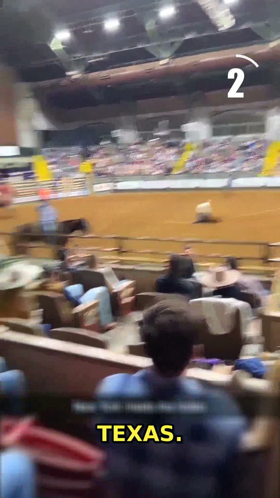The Stockyards