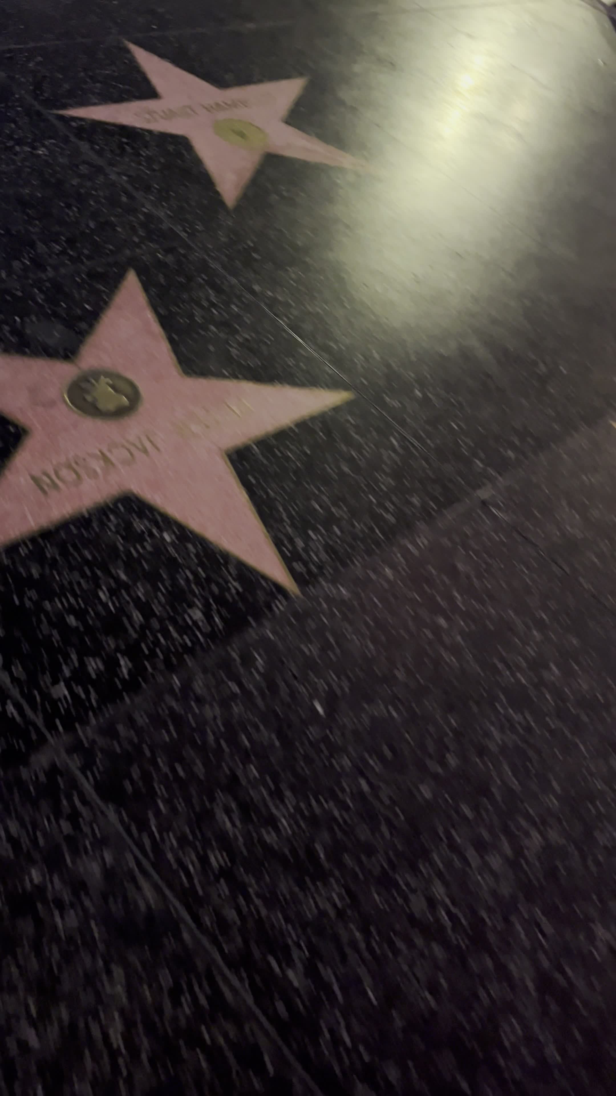 Celine Dion Star Hollywood Walk Of Fame