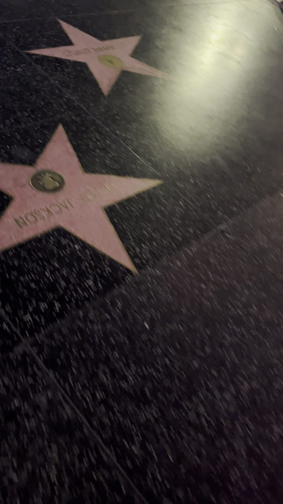 Celine Dion Star Hollywood Walk Of Fame