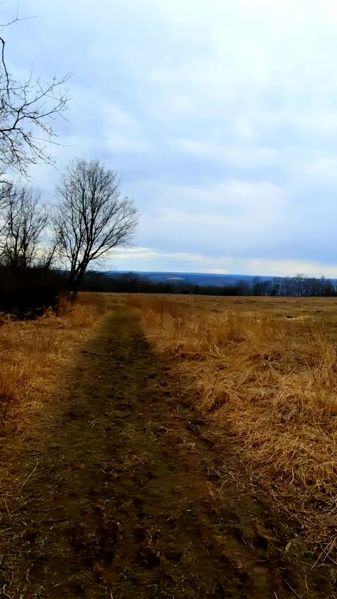 Sims-Jennings Preserve at Cayuga Cliffs