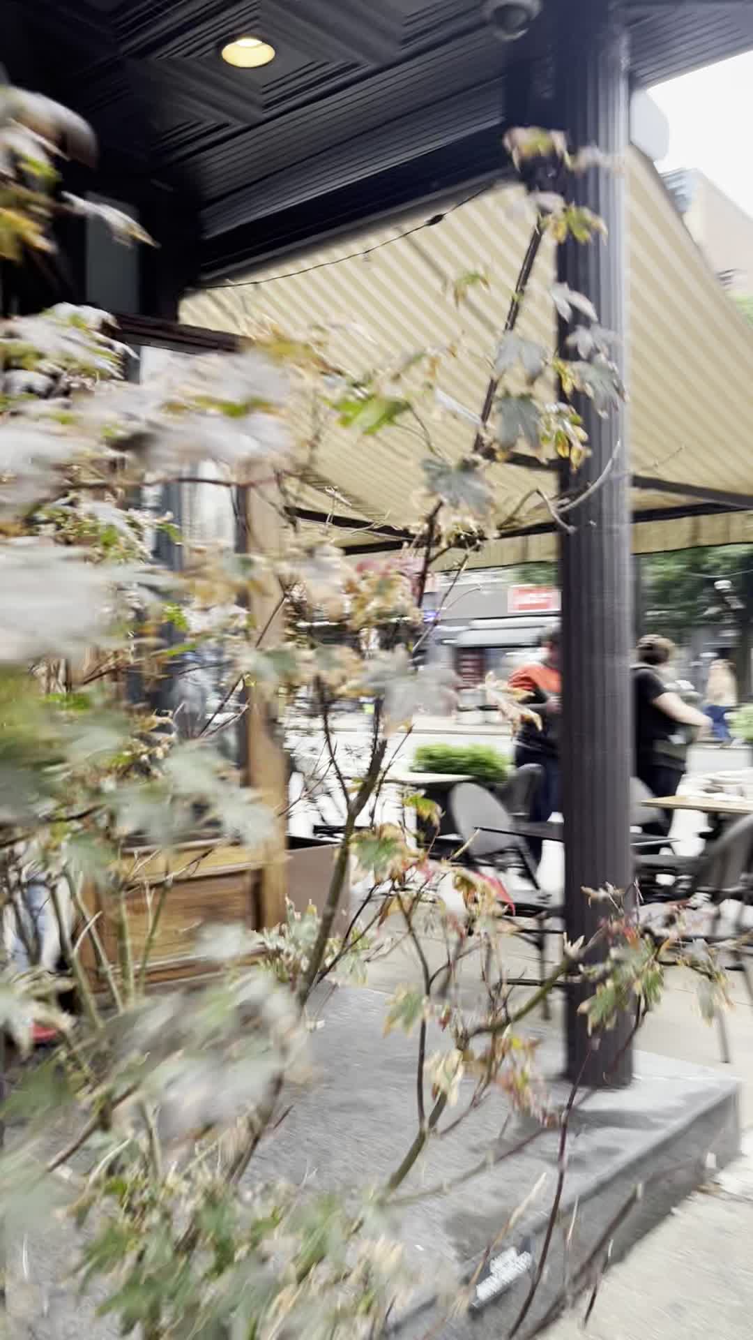 Video review of The Brass Rail