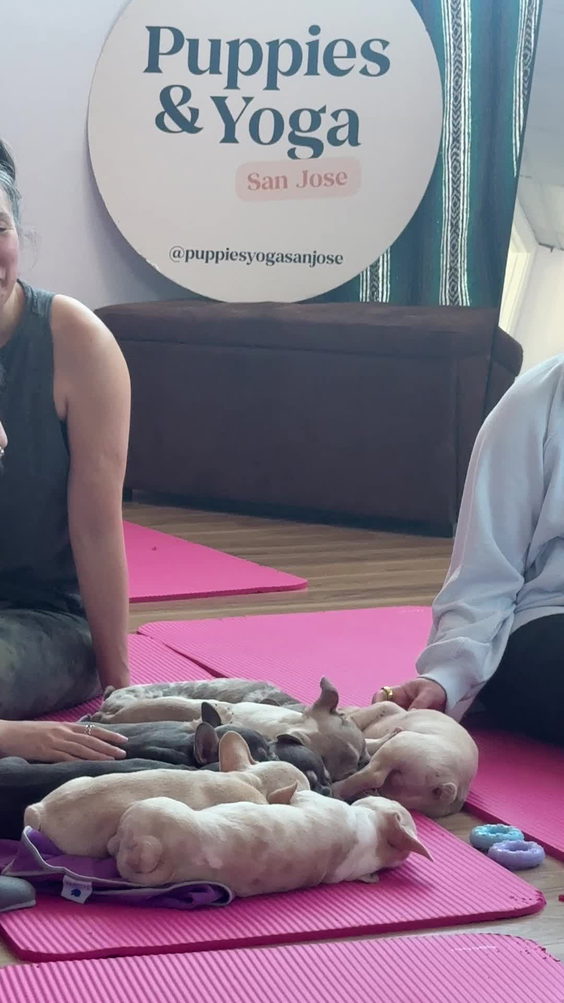 Yoga Bharati
