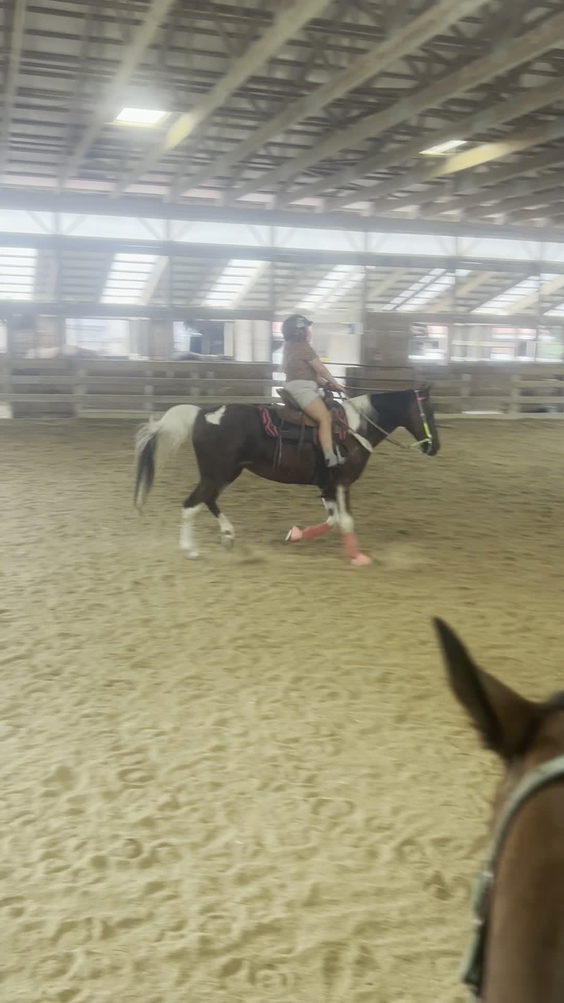 Morgan Stables