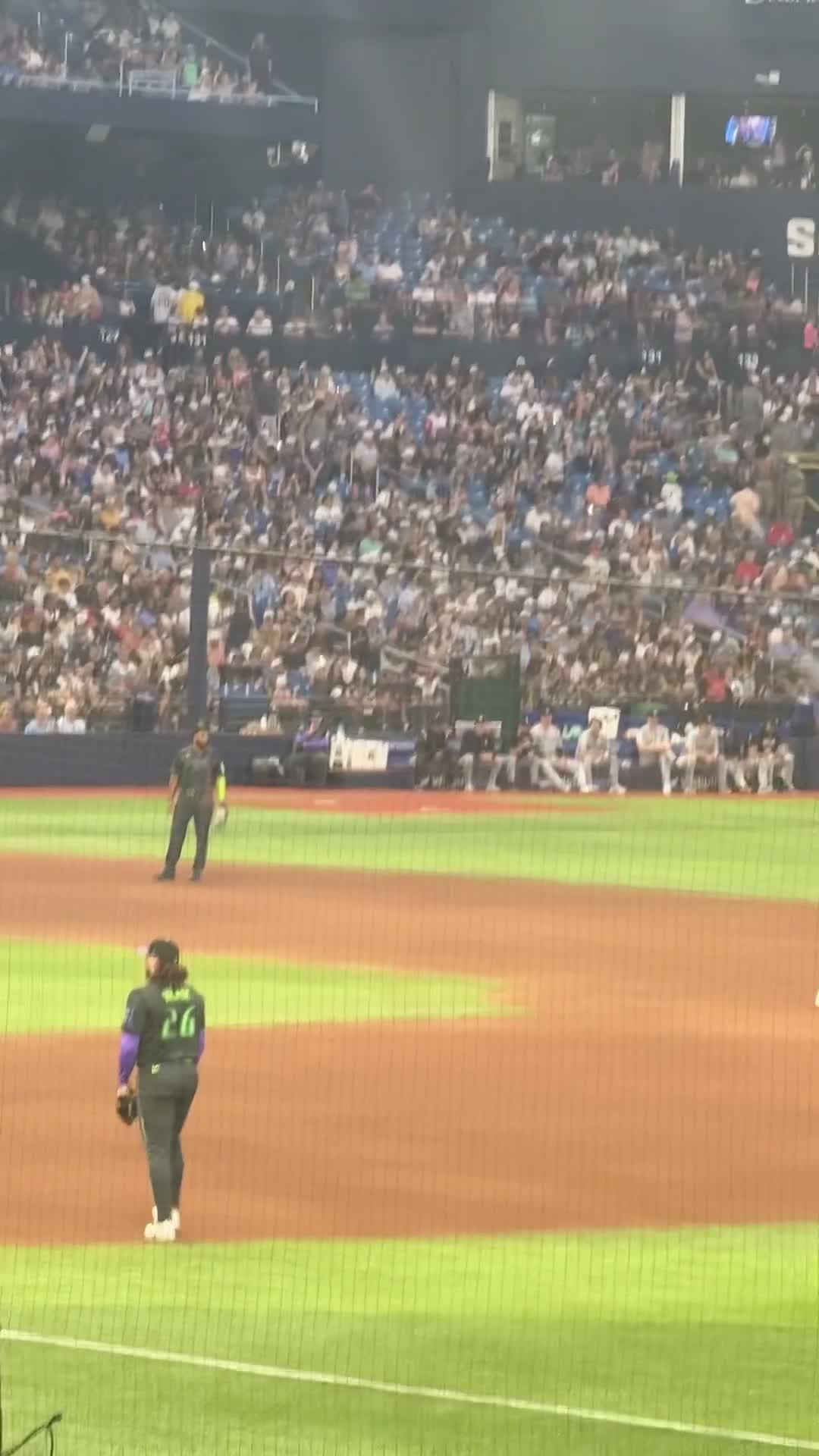 Video review of Tropicana Field