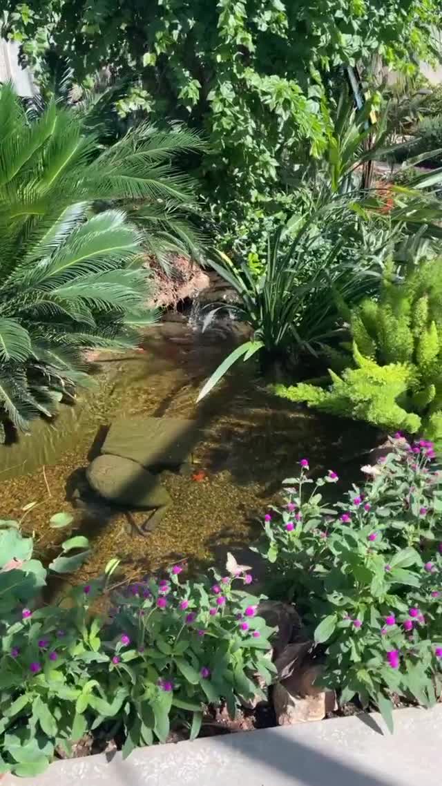 Video review of Desert Botanical Garden