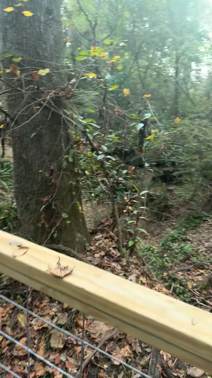 Moncus Park