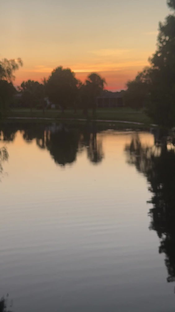 Wolf Lake Park