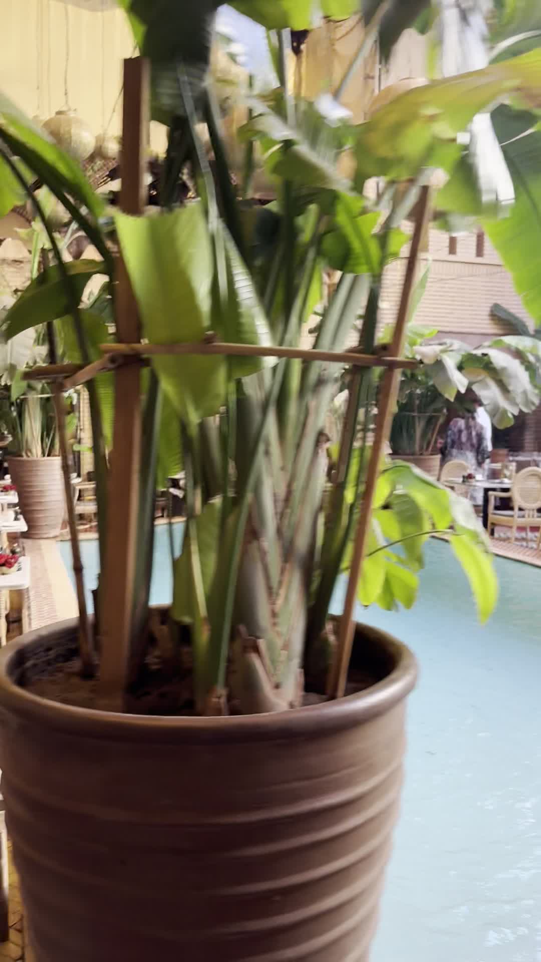 La Trattoria Marrakech