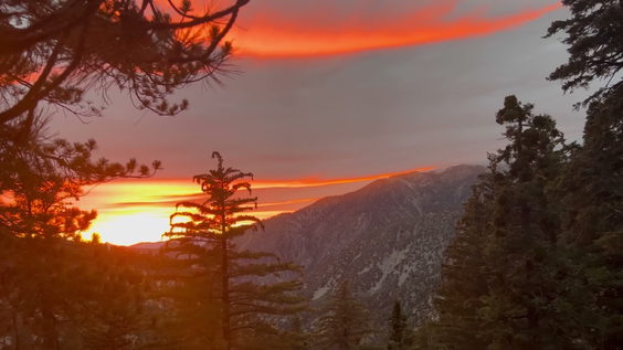 Cucamonga Wilderness