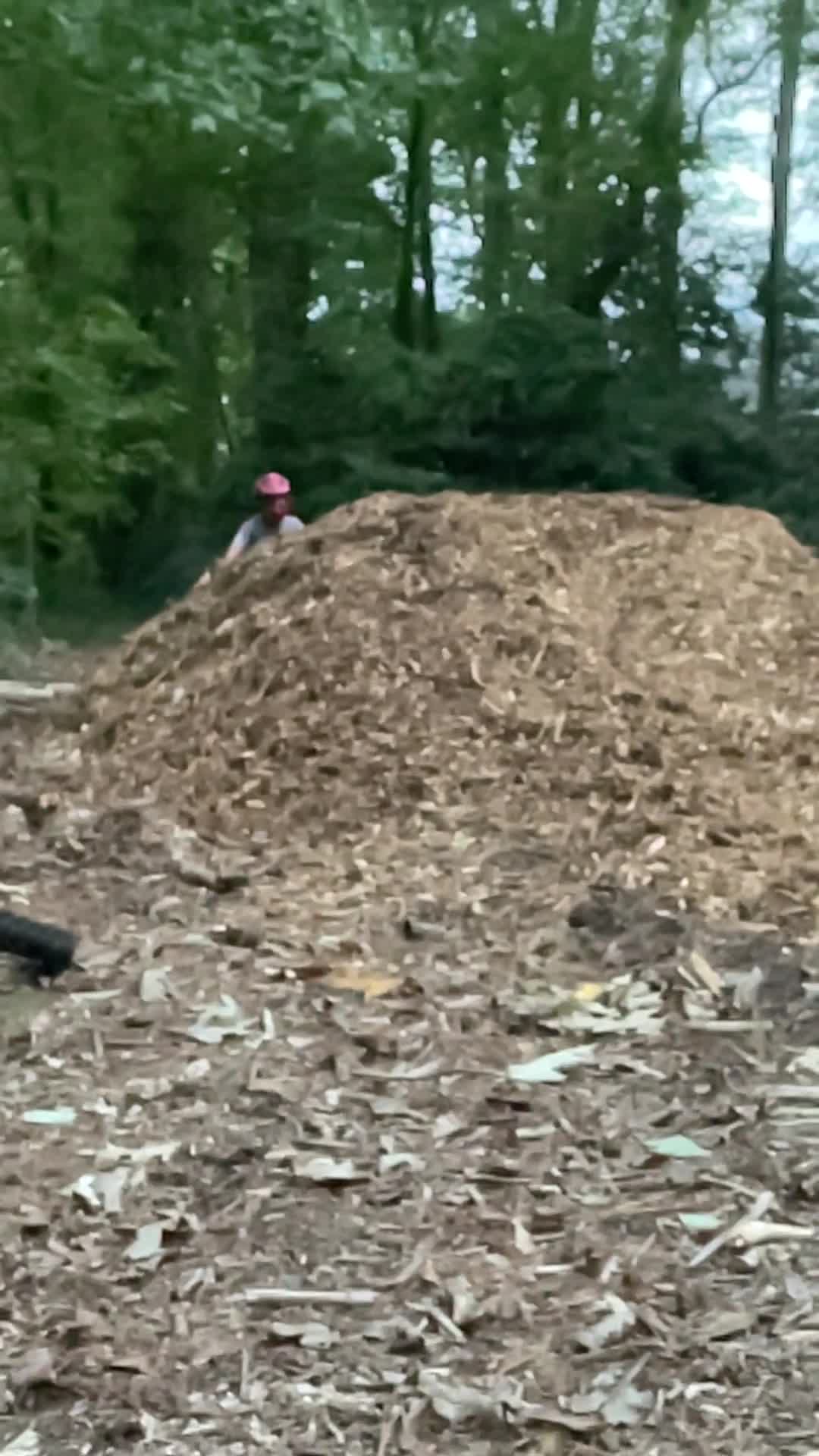 Make Something Studio