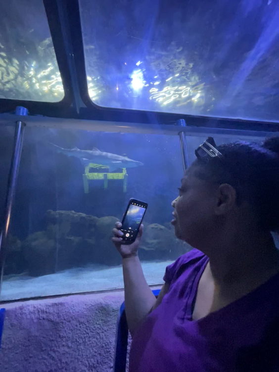 Downtown Aquarium
