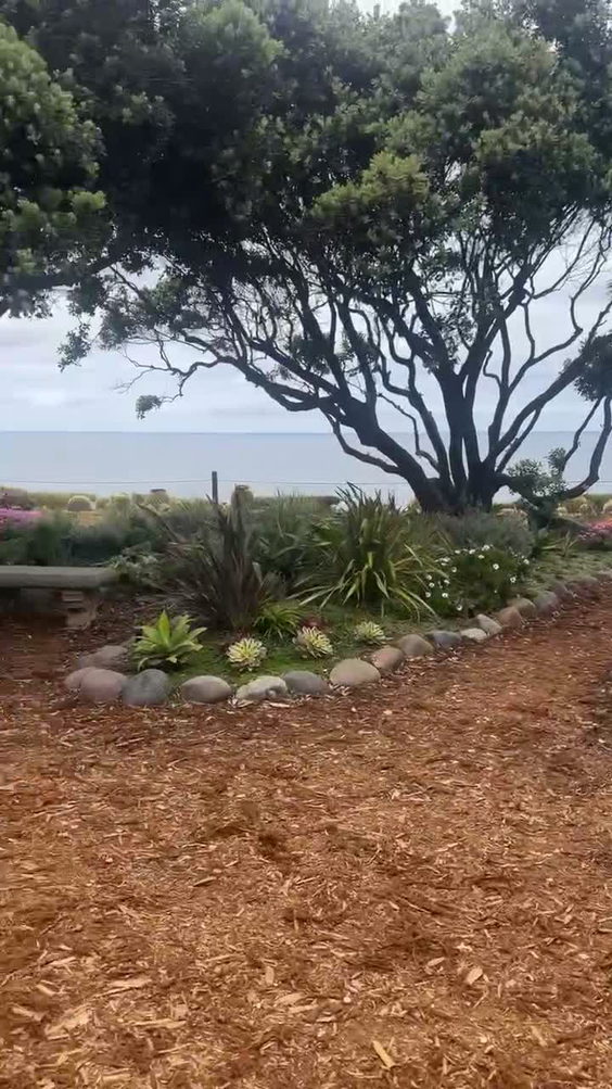 Meditation Garden At Encinitas
