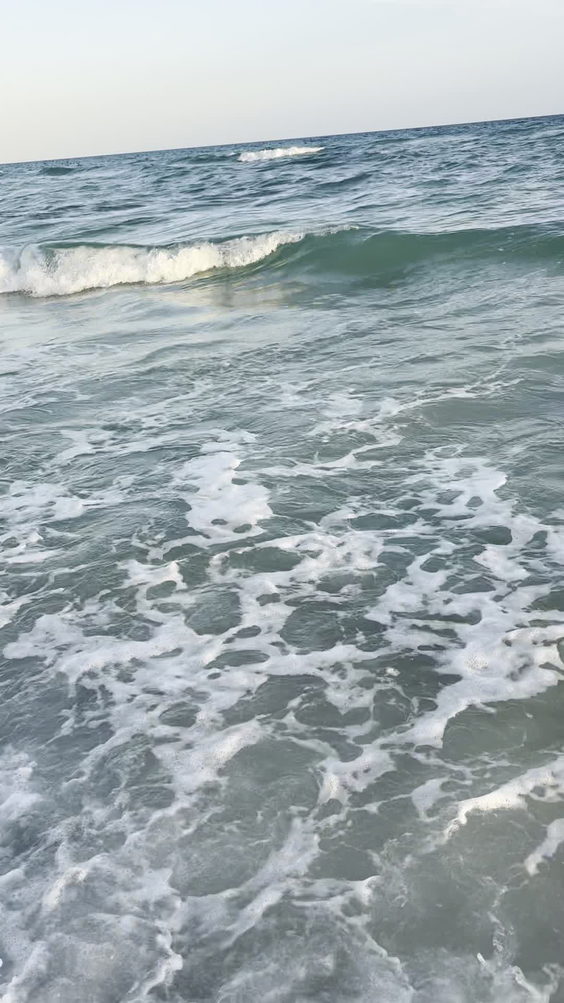 Paradise In Pensacola