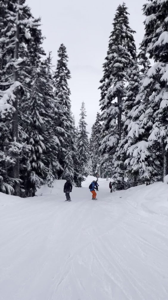 Whistler Blackcomb