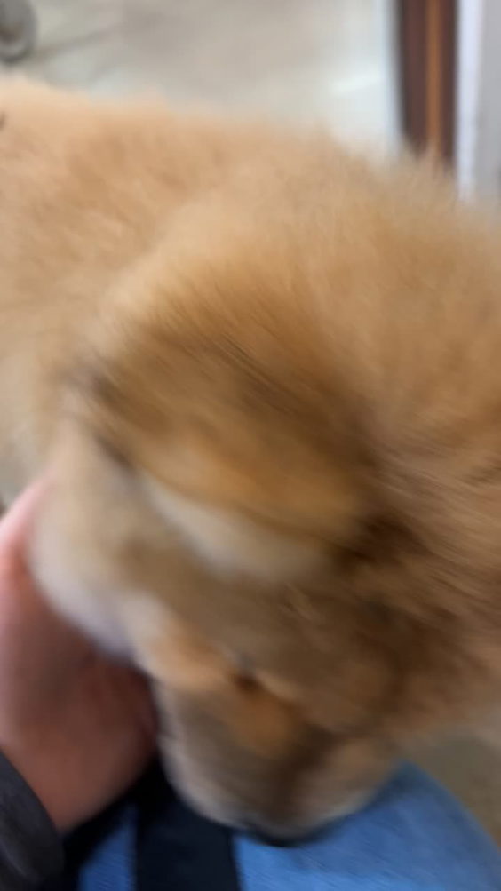 Petland