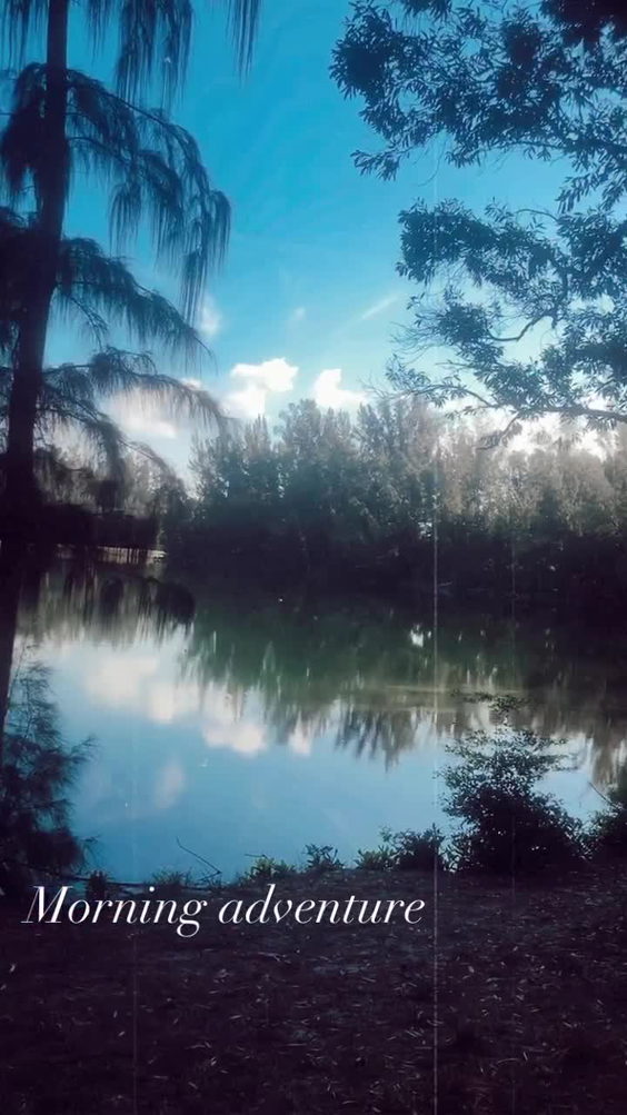 Tree Tops Park
