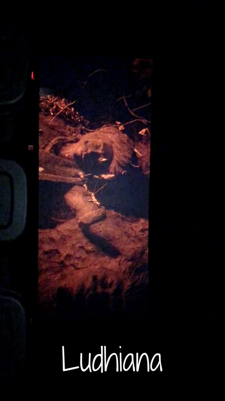 Royal King Restaurant