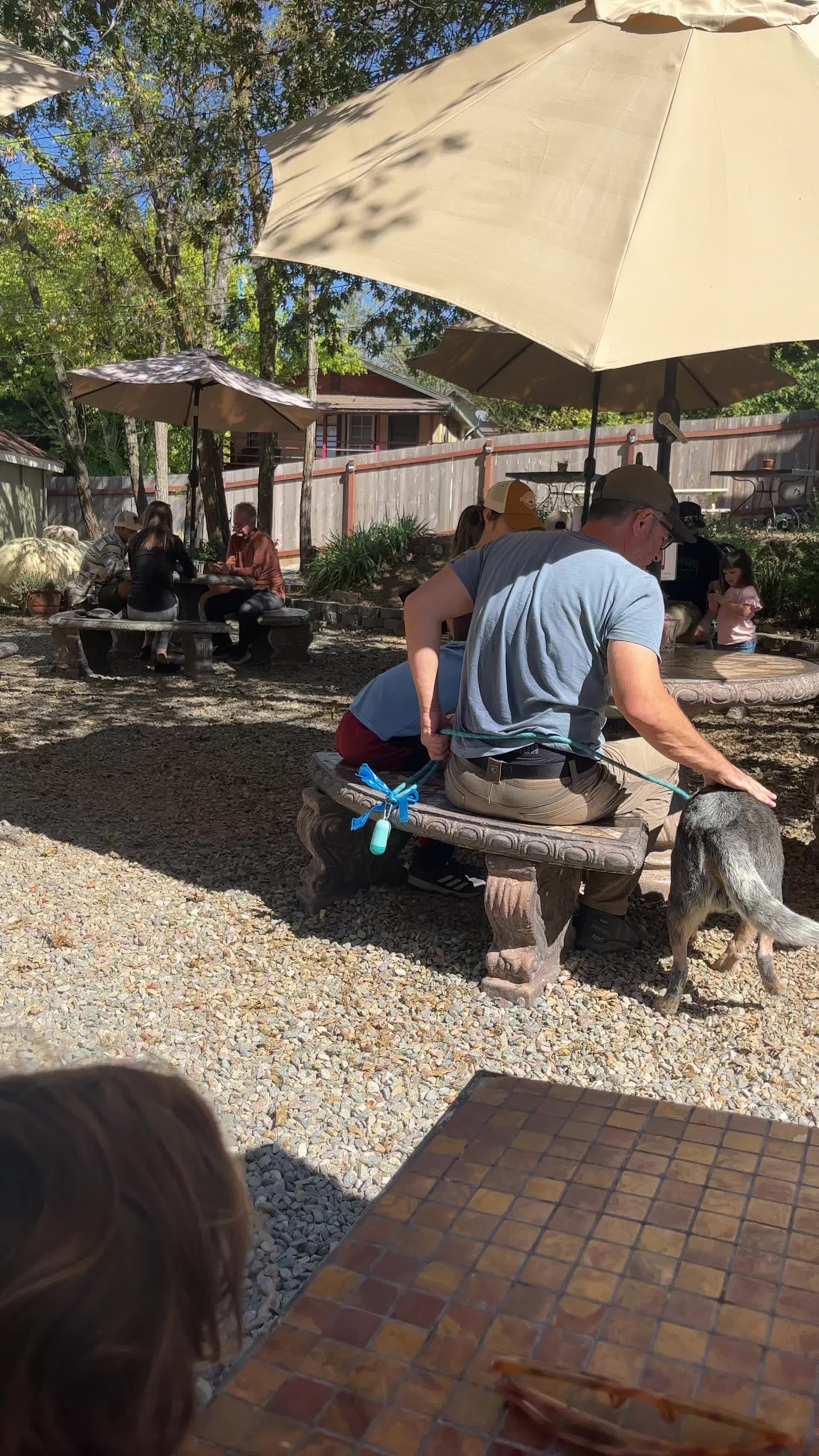 Quecho Elevated Mexican Eatery