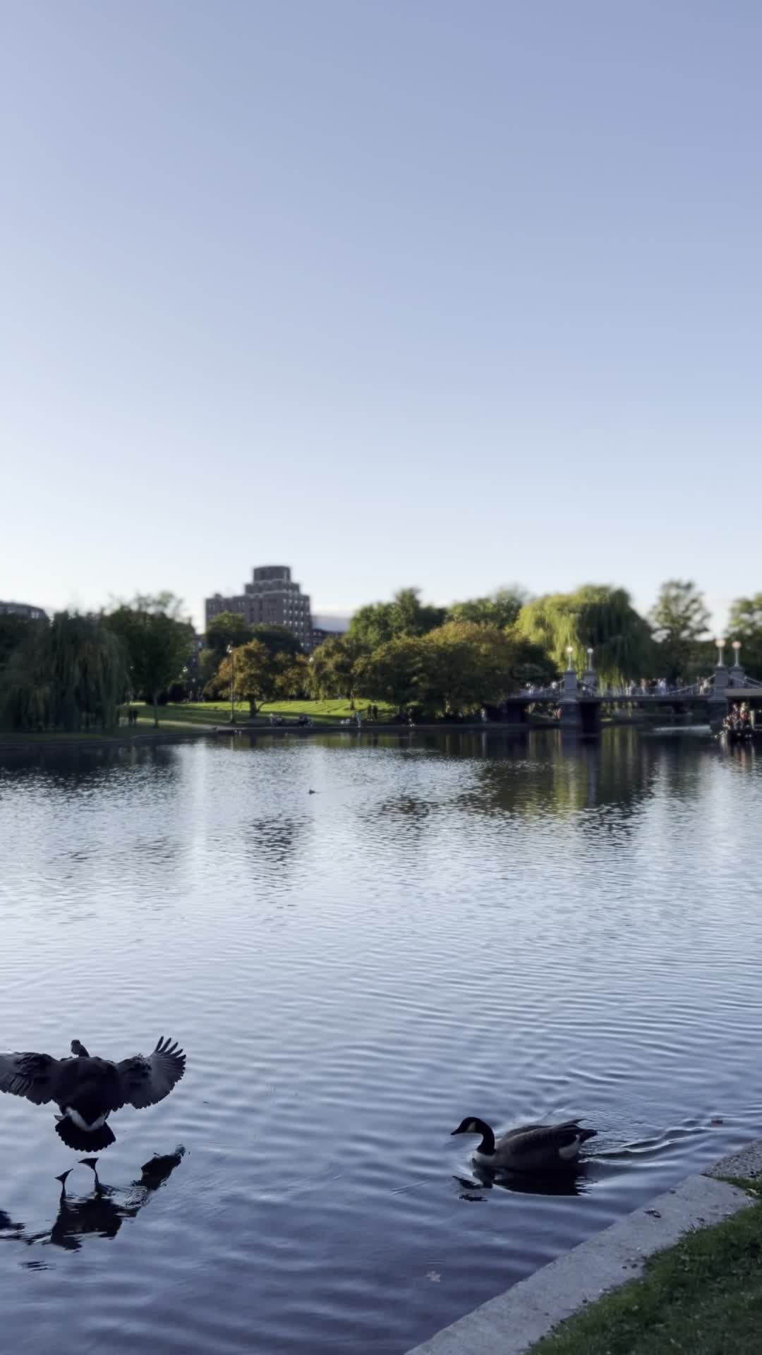 Video review of Boston Common