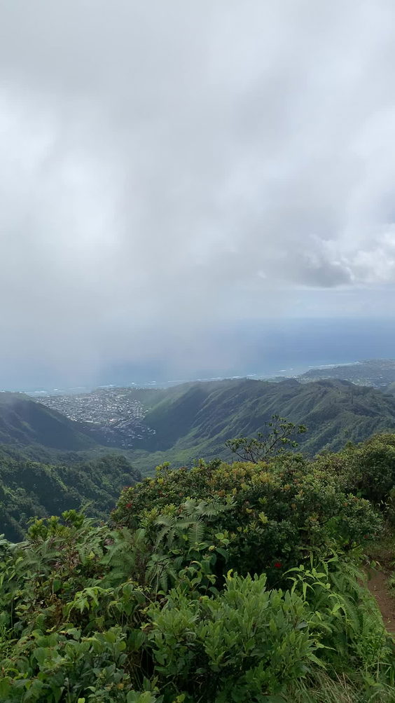 Wiliwilinui Trail
