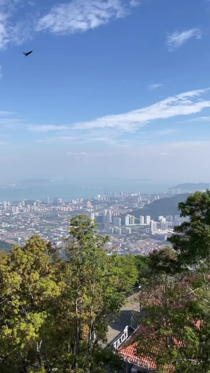æª³å³¶