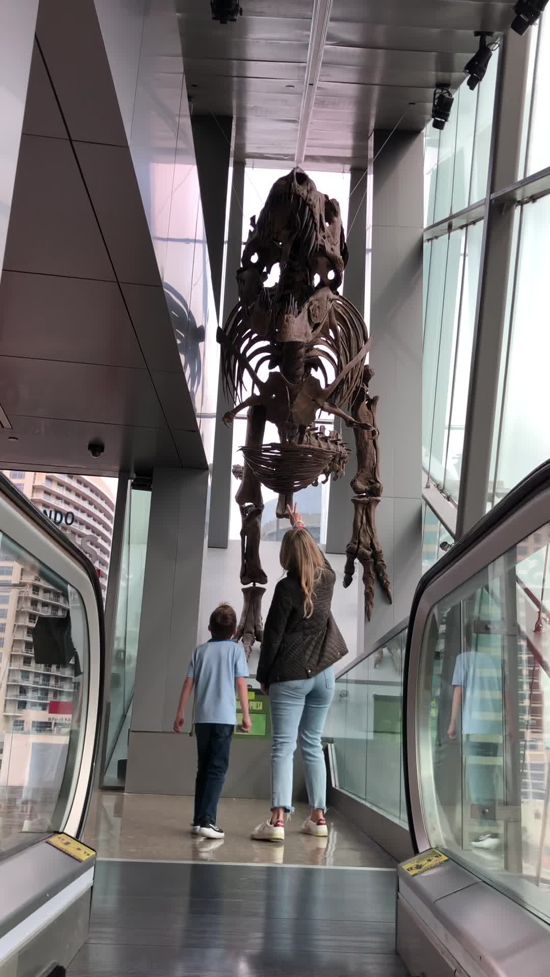 Perot Museum of Nature and Science