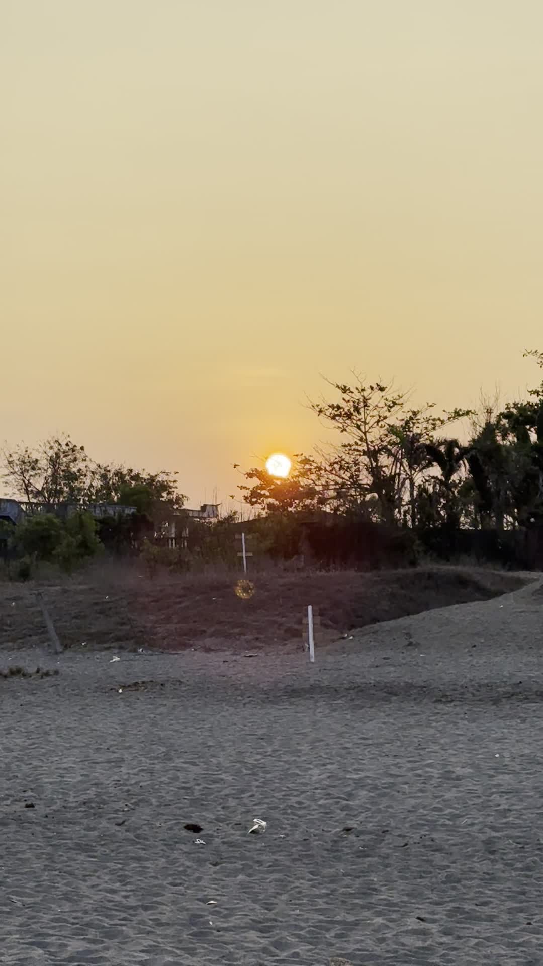Villas Buenavista