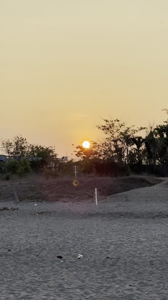 Villas Buenavista