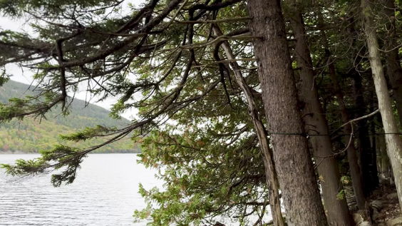 Jordan Pond