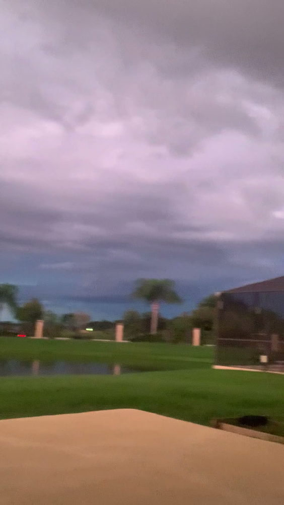 City Moment · Wesley Chapel