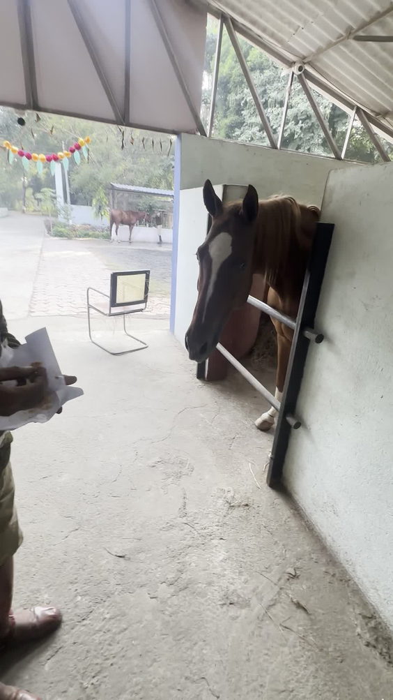 Mounted Police Training Grounds