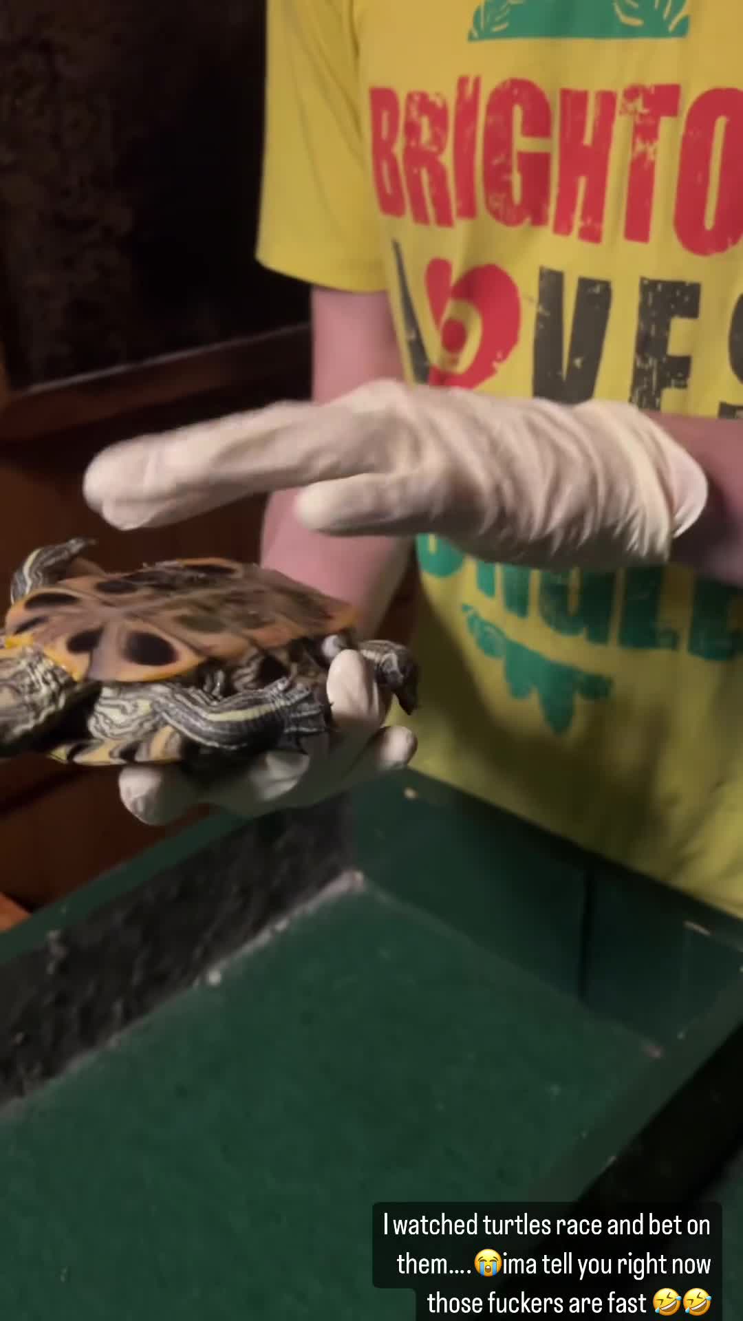 Turtles all the way down