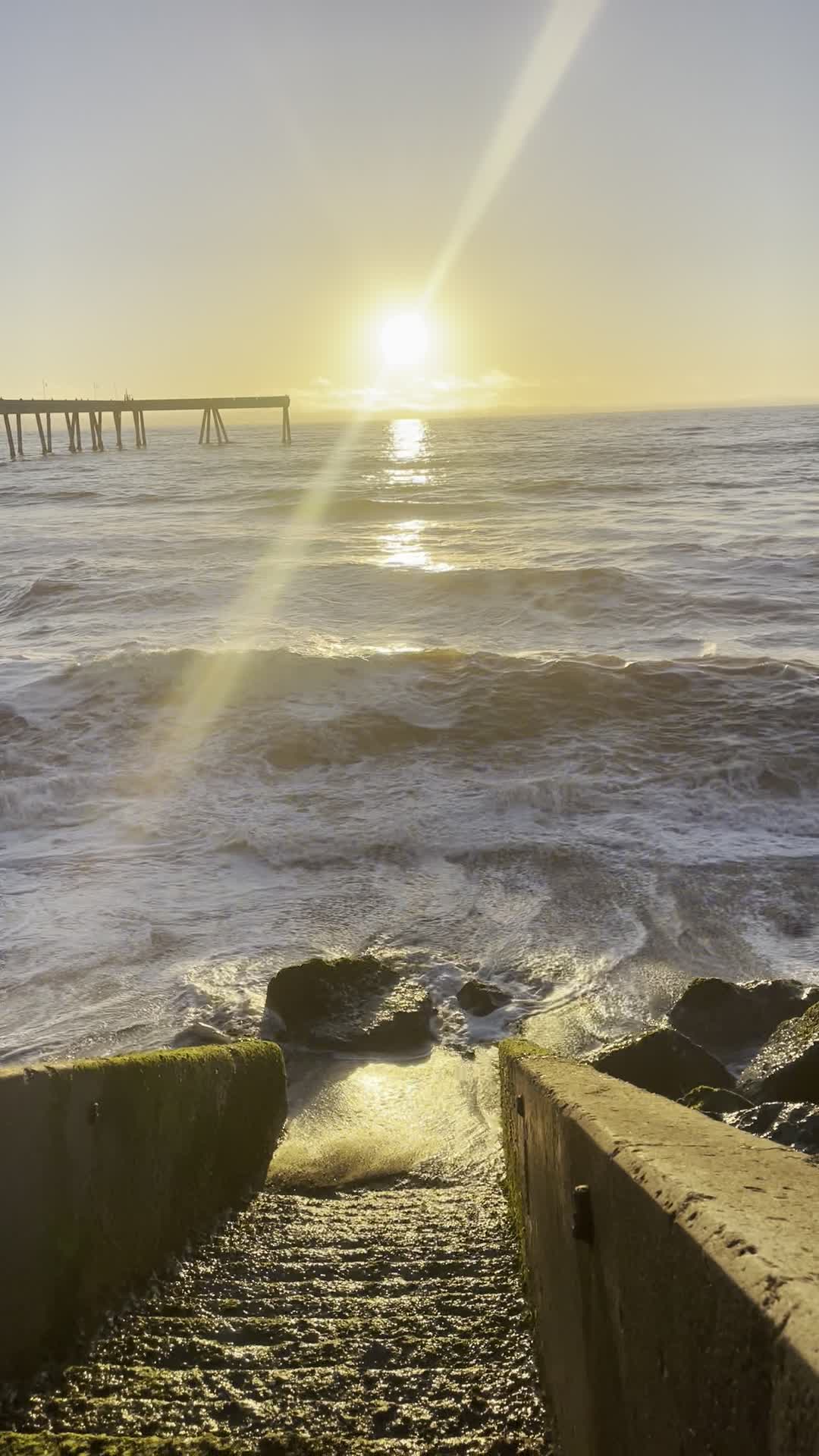 Video review of Cafe Pacifica