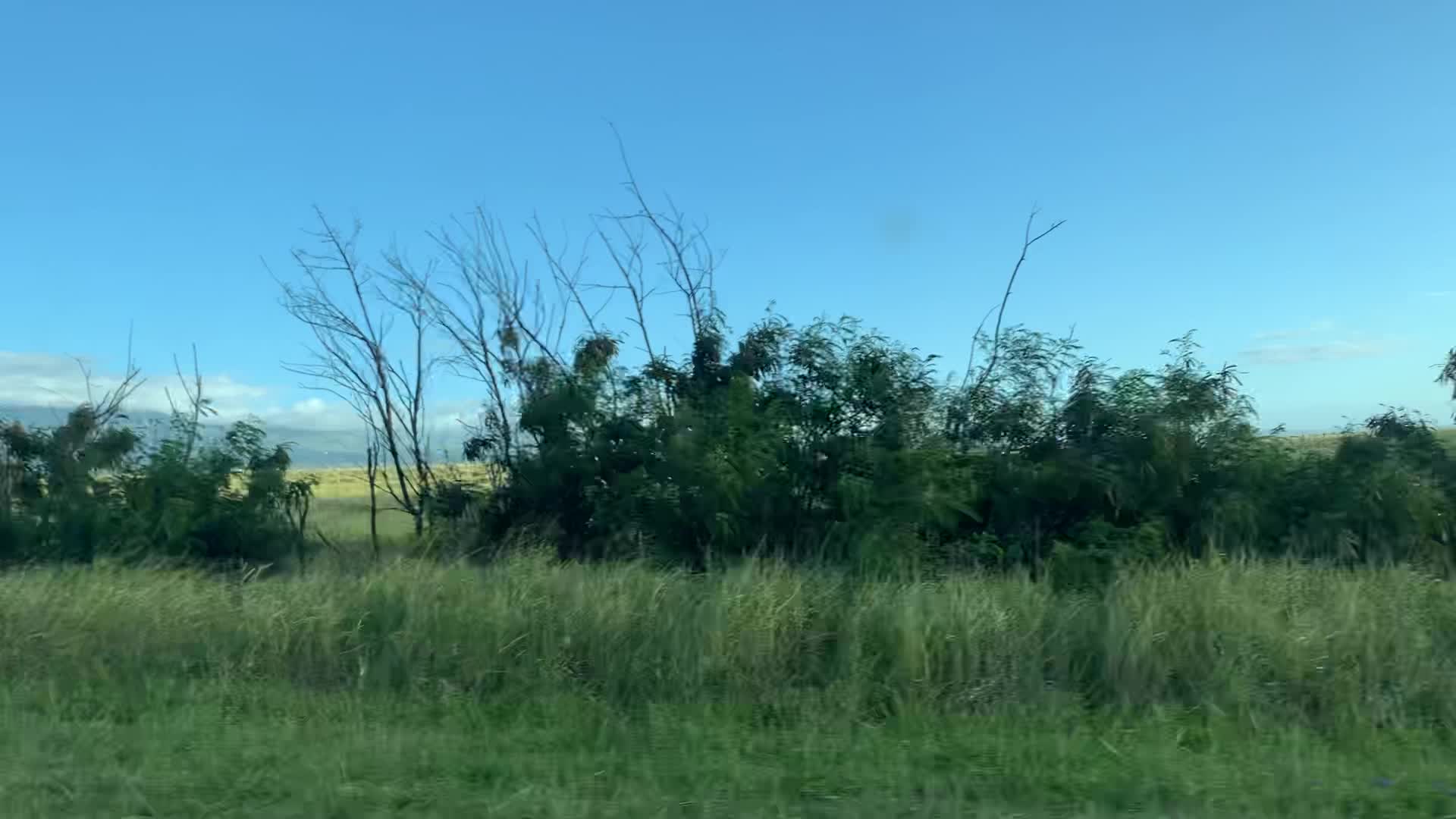 Video review of Paia Bay