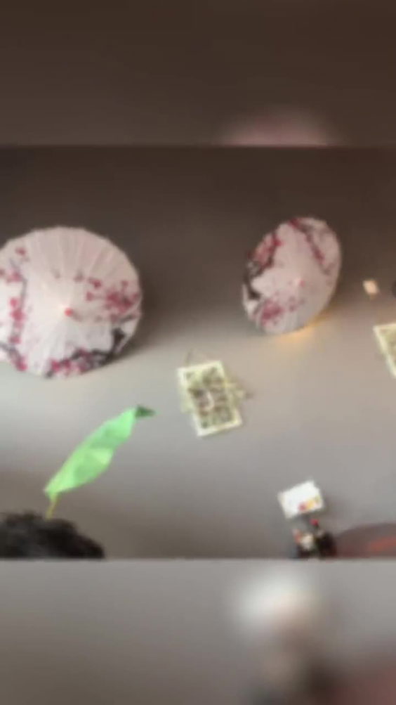 Roku Sushi & Pho