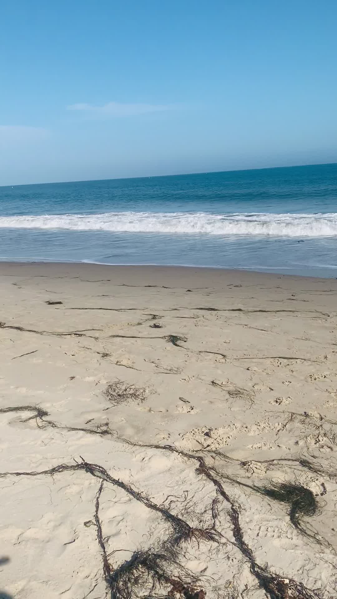 Leadbetter Beach & Park