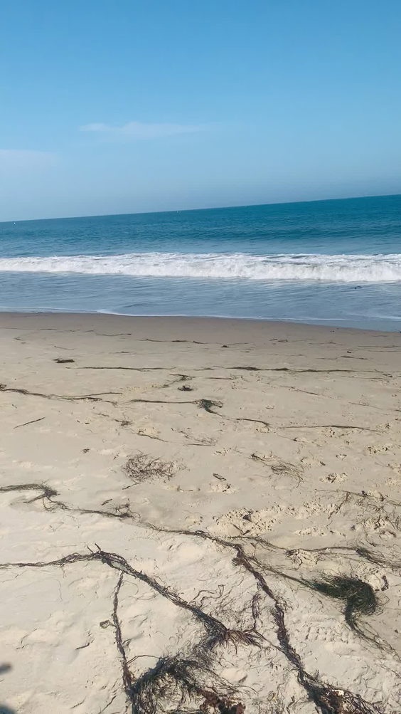 Leadbetter Beach & Park