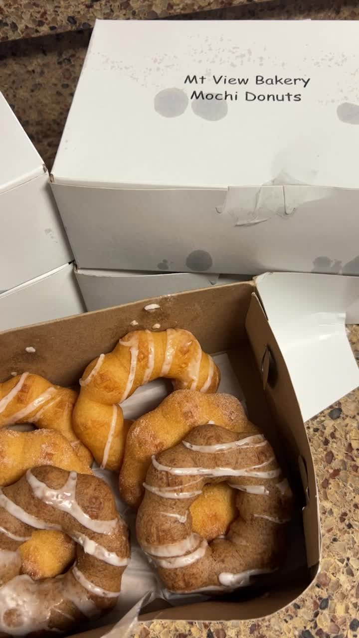Mt View Bakery Inc